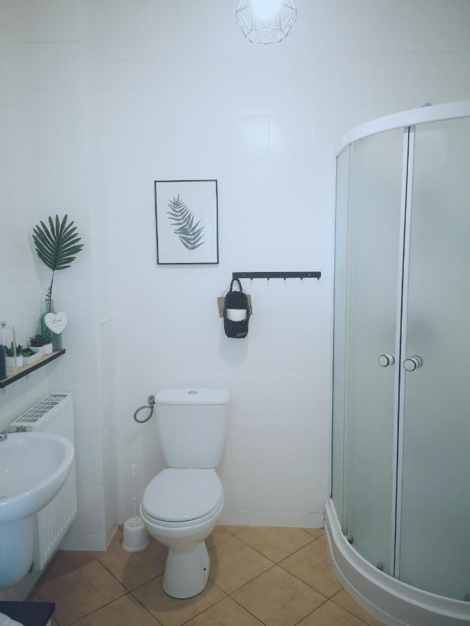 Apartament Kaktus 姆拉哥沃 外观 照片